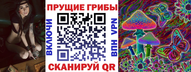 что такое   Белово  Галлюциногенные грибы Cubensis 